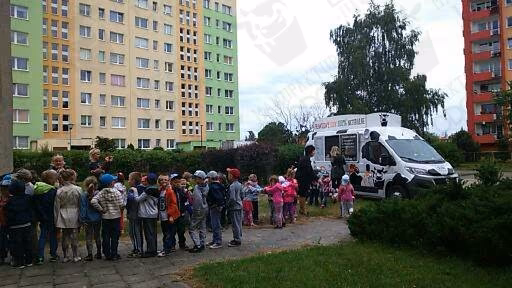 Lodowóz Lody Prawdziwe w akcji — zdjęcie 2 z 5